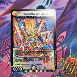 覚醒連結 XXDDZ　1枚