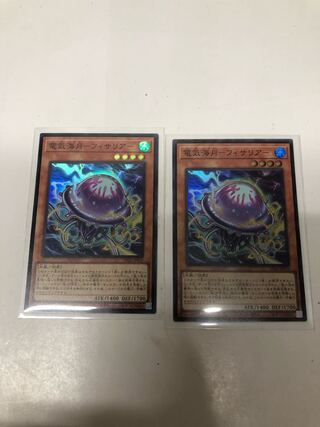 Electric Umi Moon - Fissaria - Set of 2