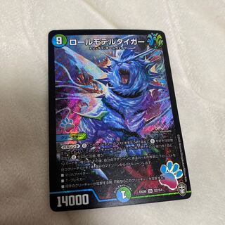 ロールモデルタイガー