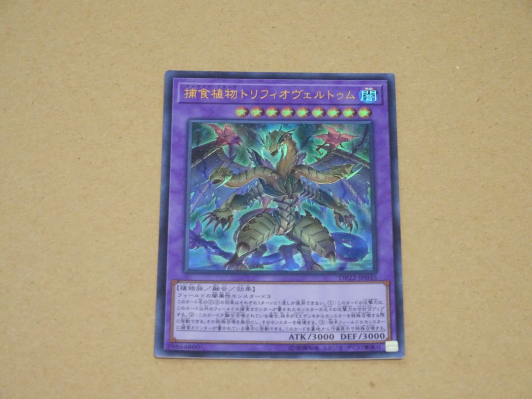 捕食植物トリフィオヴェルトゥム ウルトラレア