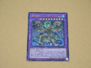 捕食植物トリフィオヴェルトゥム ウルトラレア