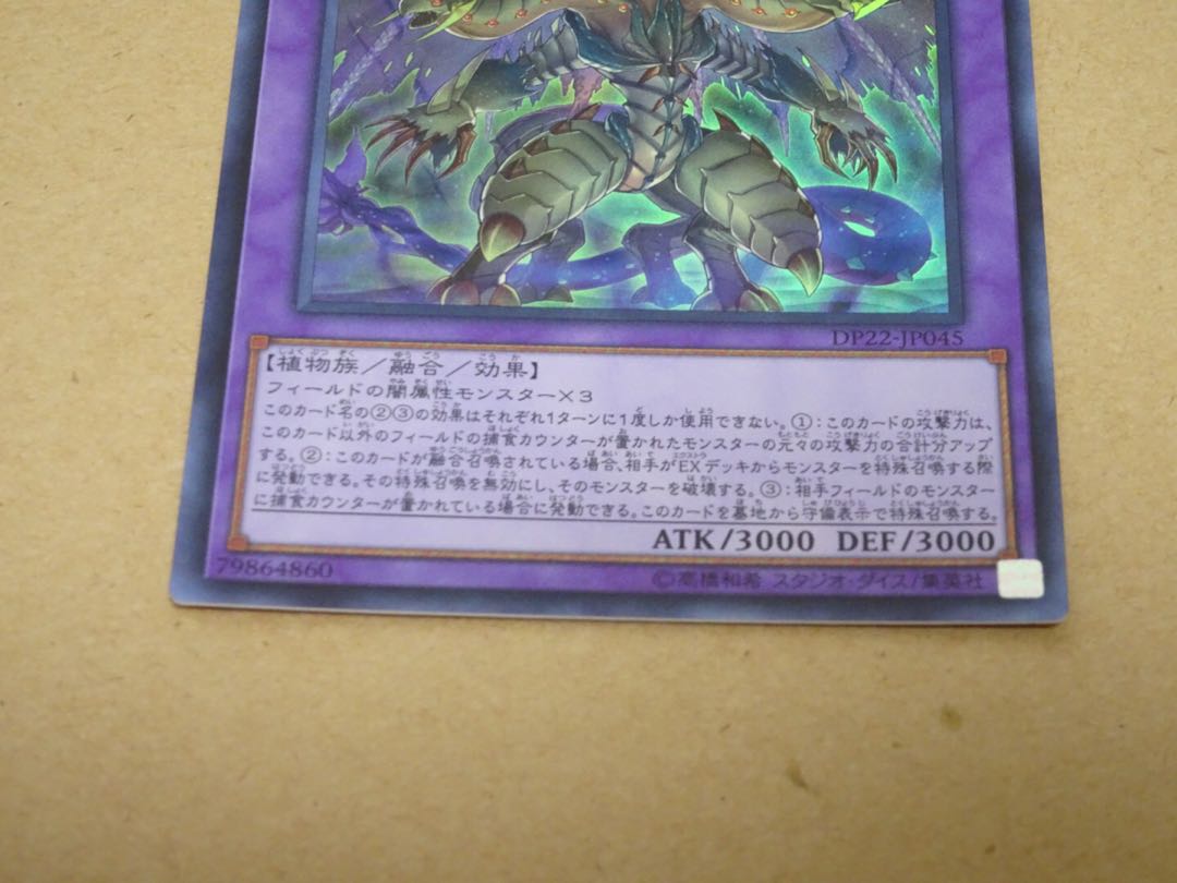 捕食植物トリフィオヴェルトゥム ウルトラレア