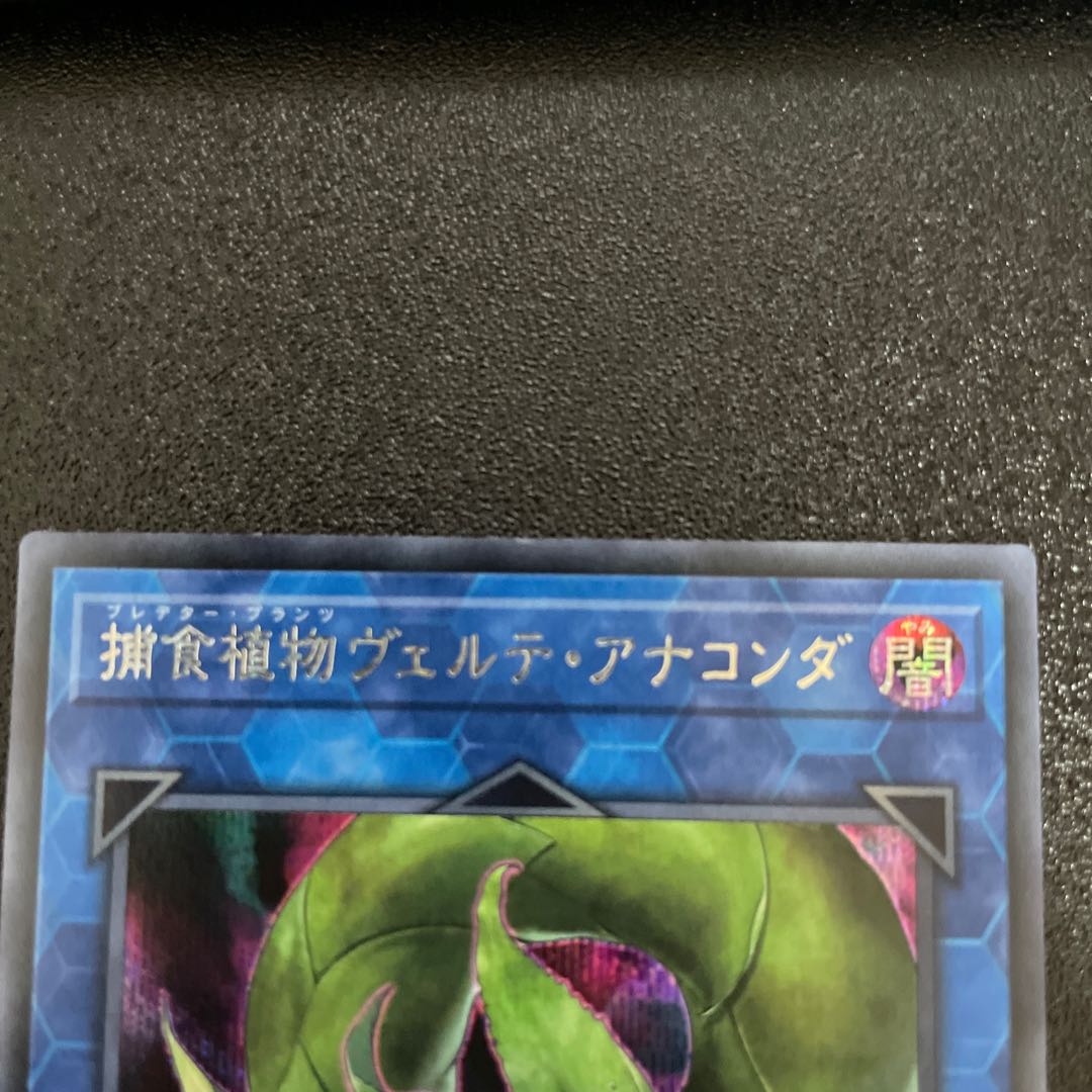 捕食植物ヴェルテ・アナコンダ シークレットレア