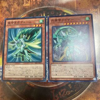 遊戯王★烈風帝ライザー、風帝家臣ガルーム★