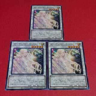 ガーデンローズフローラ ３枚