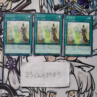 1004 Whitefish Salvage3pcs set