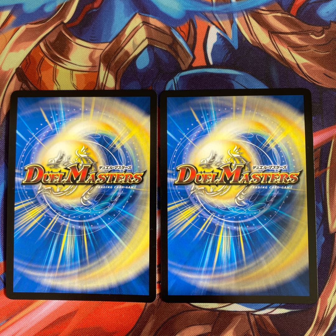 「絶対の楯騎士」