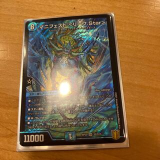 マニフェスト <リーフ.Star>