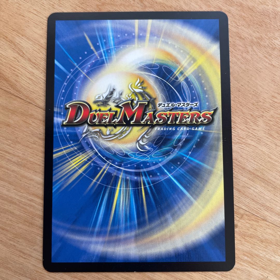 【24時間以内発送】天命龍装ホーリーエンド ナウオアネバー 管理番号8153