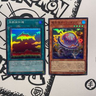 電気海月　魚群探知機