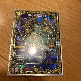 「絶対の楯騎士」