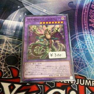 捕食植物ドラゴスタペリア ノーマル　１枚