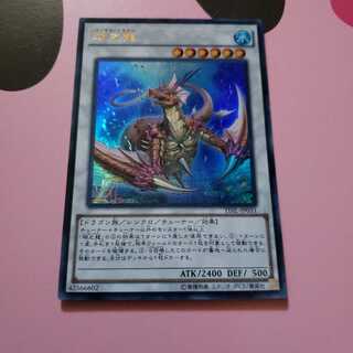 瑚之龍　ウルトラレア