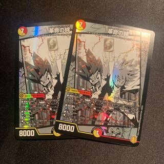 革命の絆　2枚SET