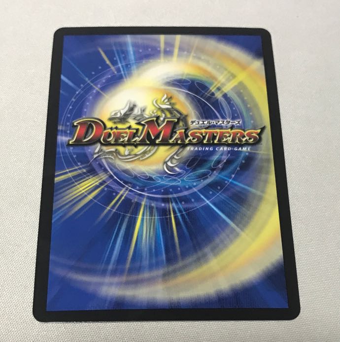 「絶対の楯騎士」