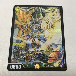 神聖龍 エモーショナル・ハードコア