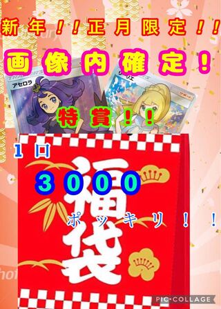 【期間限定】1口3000円 運試し!!     リーリエ アセロラ