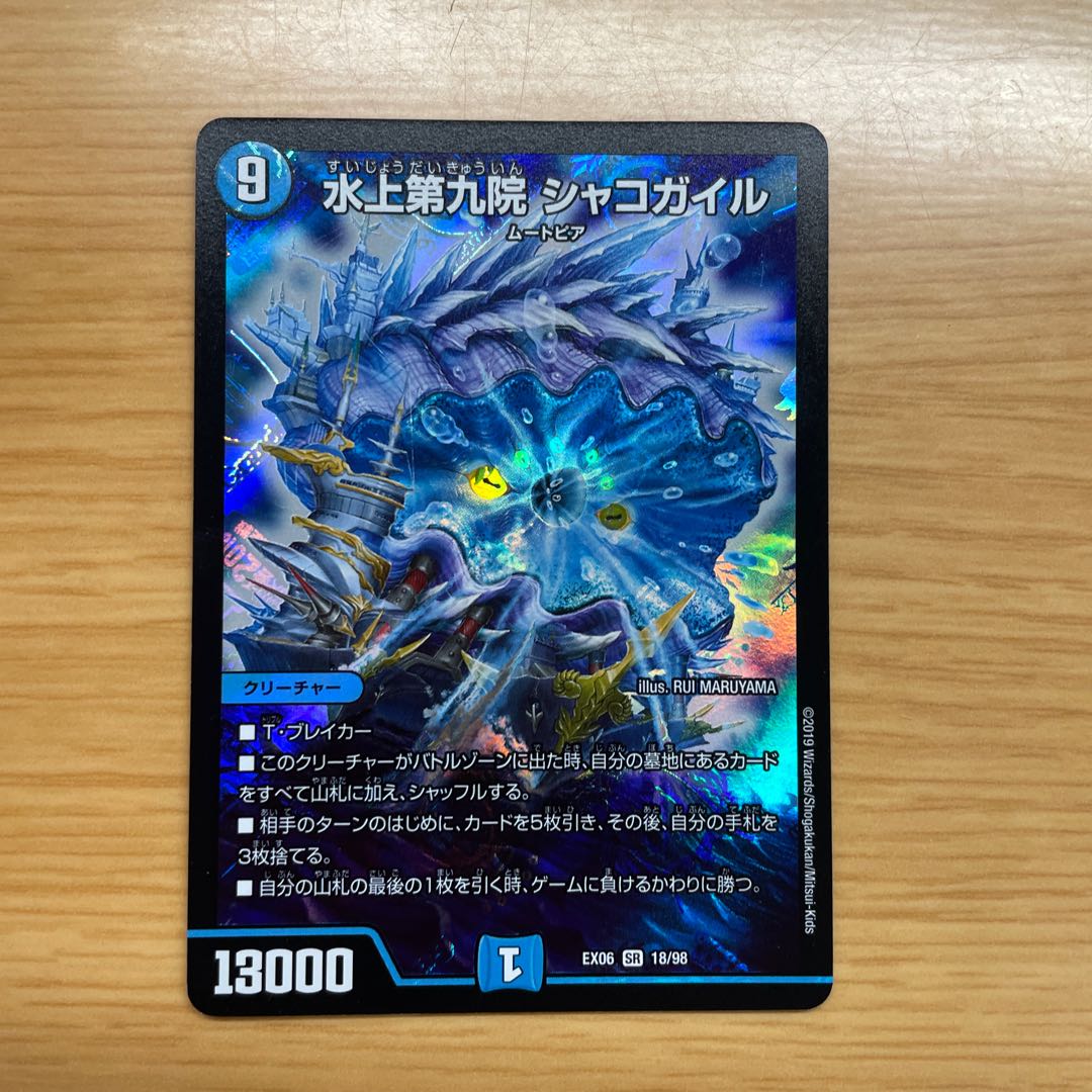 水上第九院 シャコガイル