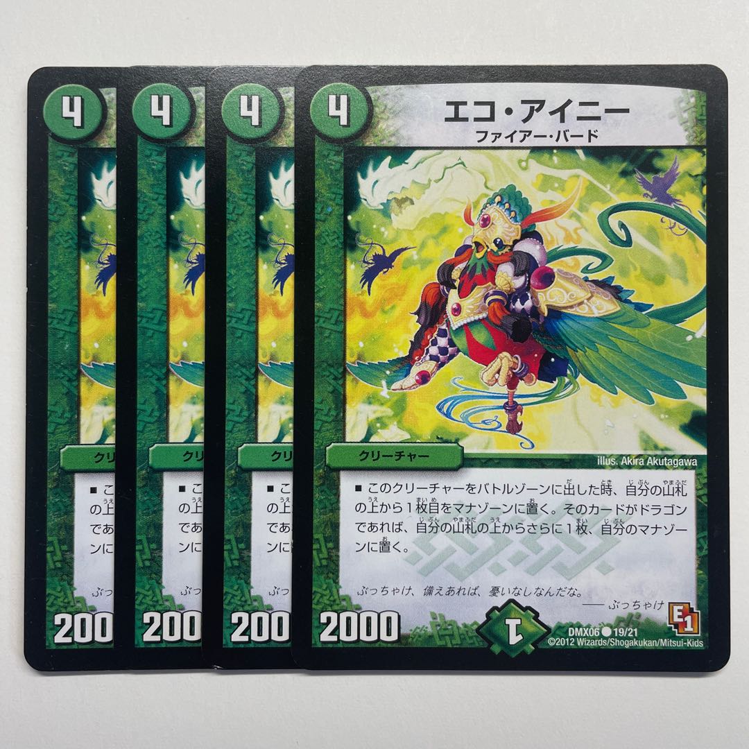 エコ・アイニー×4