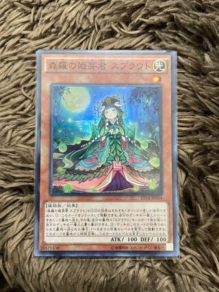 森羅の姫芽君スプラウト スーパーレア