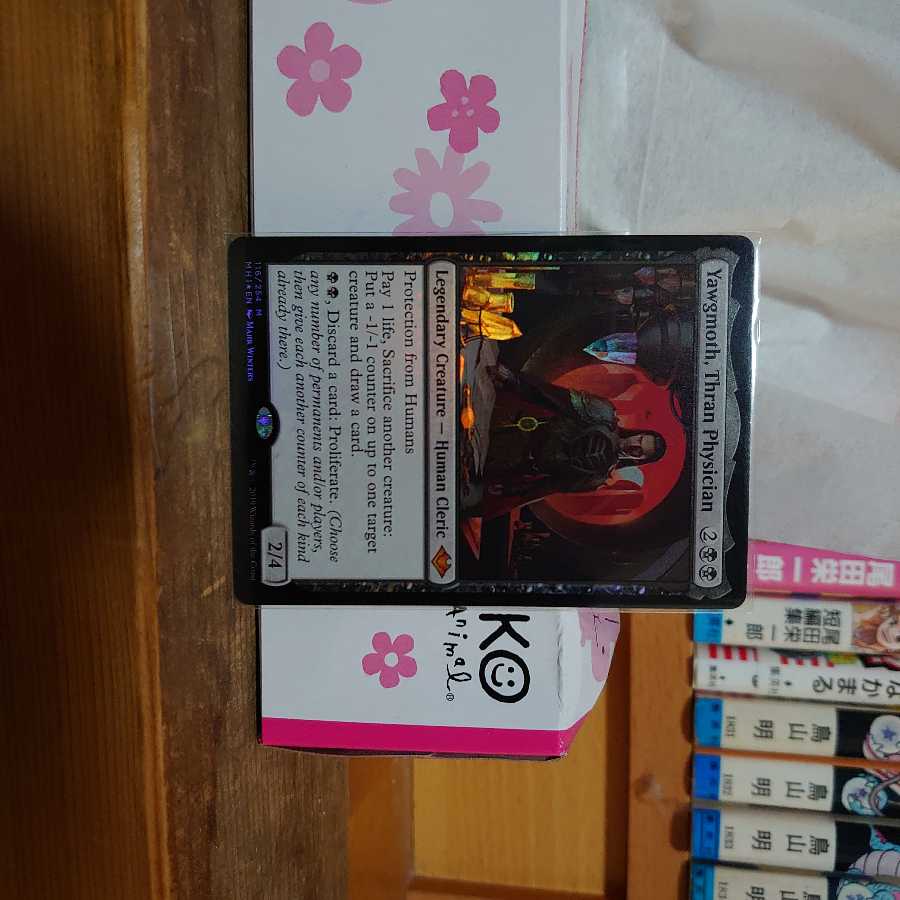 スランの医師、ヨーグモス(英)foil