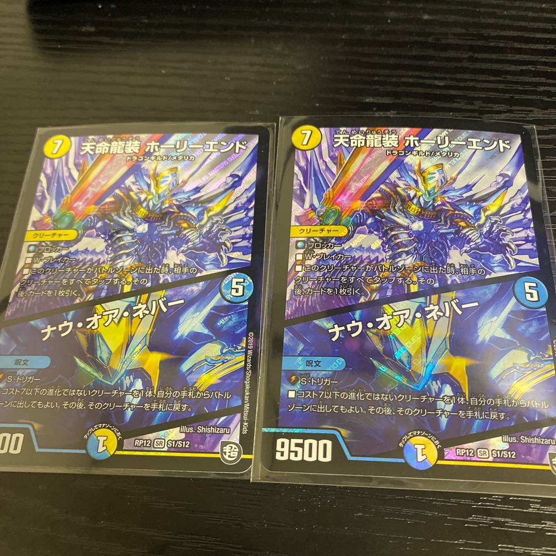 天命龍装 ホーリーエンド/ナウ・オア・ネバー