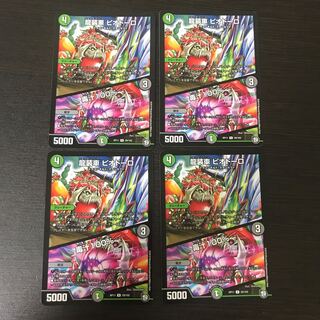 ピオドーロ 4枚