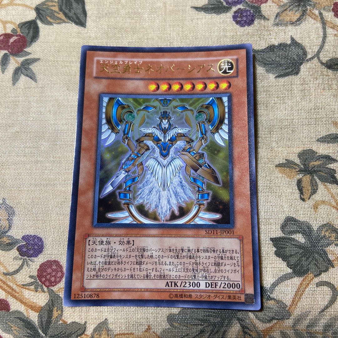 Neo-Parshath, the Sky Paladin