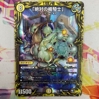 「絶対の楯騎士」