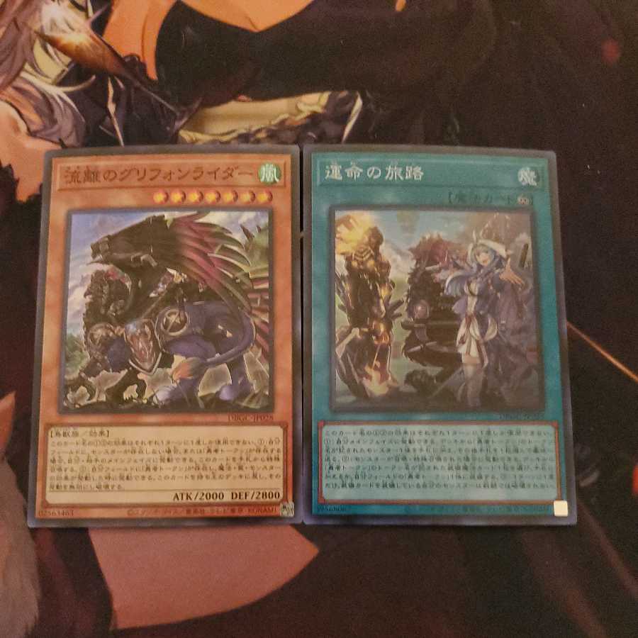 グリフォンライダー 運命の旅路