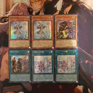 Scratches Water Master of the Sacred Temple Aramecia Brave Set