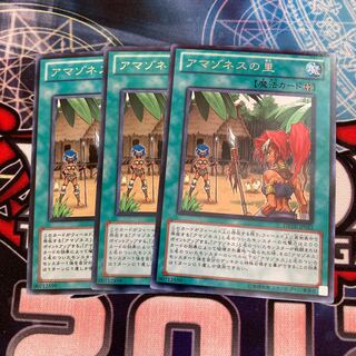 アマゾネスの里 レア　３枚特価品