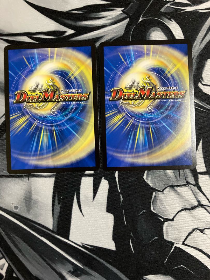 龍風混成 ザーディクリカ 2枚セット