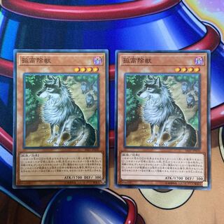 [Y] Aloof Lupine Normal Rare 2 copies 2枚