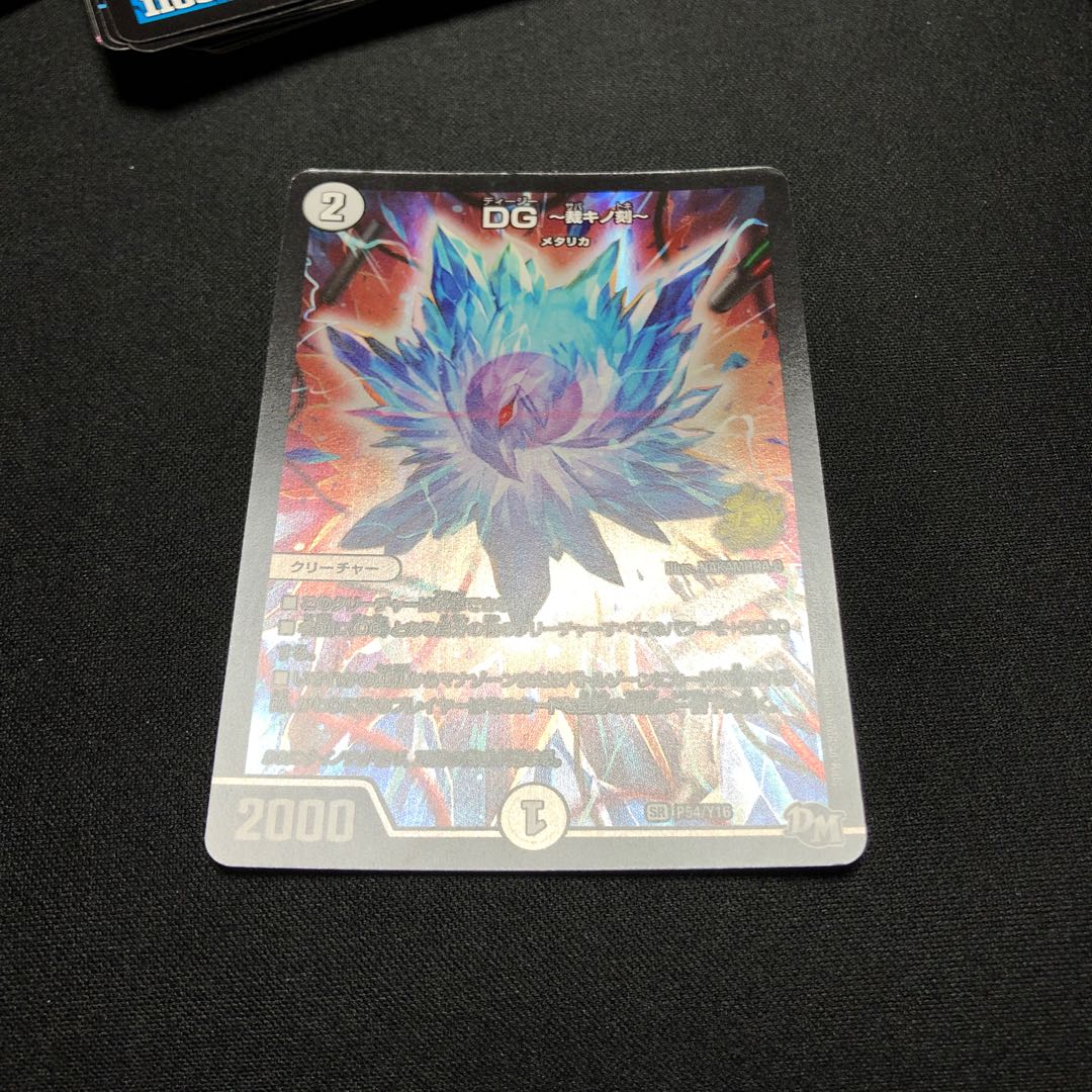 DG -The Time of Judgment