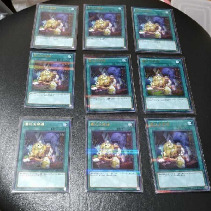 Yu-Gi-Oh! Frightfur Patchwork Super Parallel 9pcs

Frightfur Patchwork Destoy Patchwork