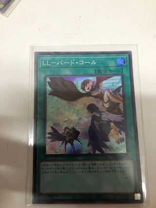 LL-バード・コール