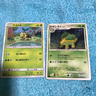 mg8-18  ナエトル＋ハヤシガメ