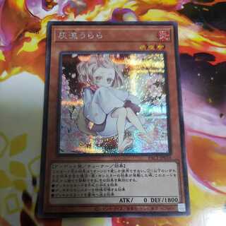 Ash Blossom & Joyous Spring (illustrated outside Umi) Secret Rare PAC1