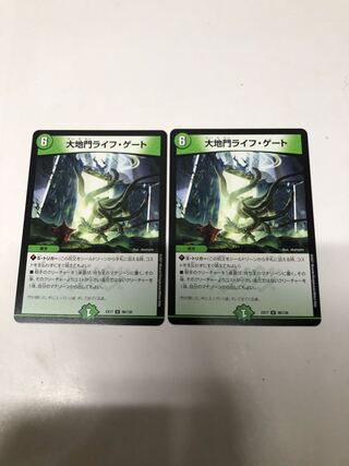 大地門ライフ・ゲート2枚セット　
