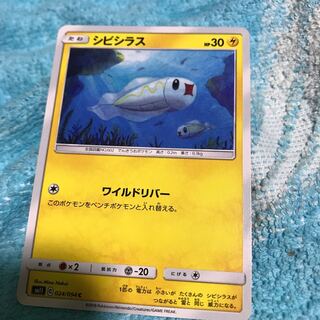 mg8-18  シビシラス