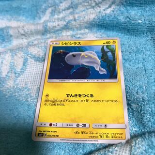 mg8-18  シビシラス