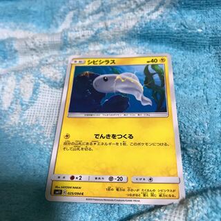 mg8-18   シビシラス