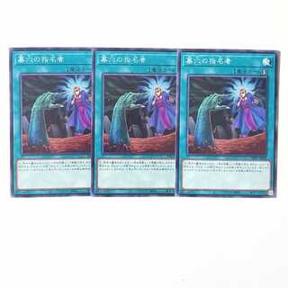 墓穴の指名者 ノーマル3枚