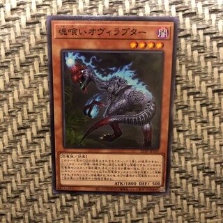 遊戯王　魂喰いオヴィラプター　ノーマル