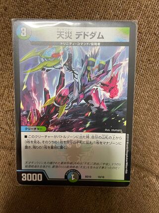 天災 デドダム 1枚