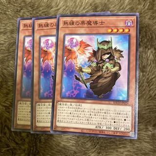 マドレース1286熟練の栗魔導士 ノーマル