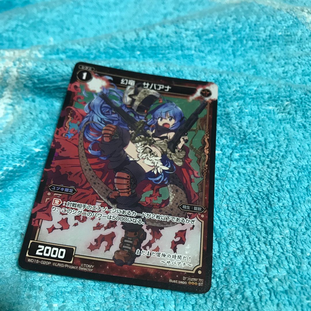 mg8-19  幻龍　　サバアナ