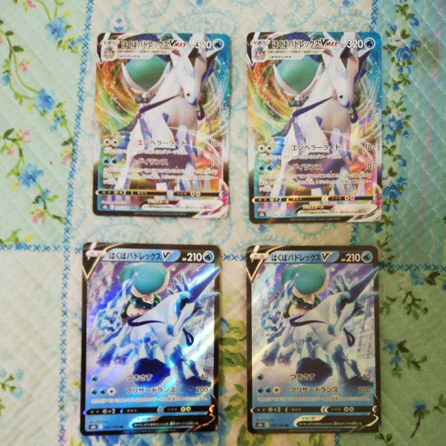 はくばバドレックスVセット