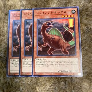 マドレース1476ジャイアント・レックス ノーマル